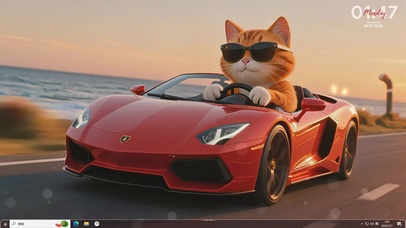 超酷帅猫开跑车