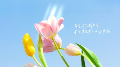 每个人花期不同，不用焦虑