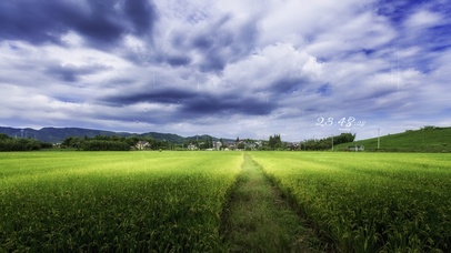 4k 护眼乡村雨天田野