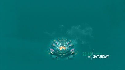 佛系 紫色莲花 4K