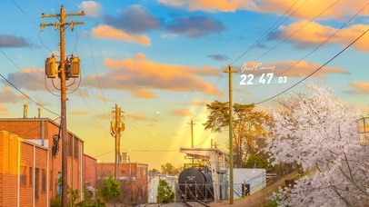 4k 治愈唯美夕阳樱花火车