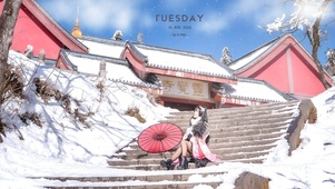 4K高清雪国美景美女