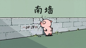 是南墙也要撞一撞！