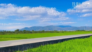 4K田园风光
