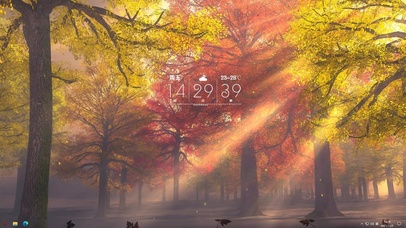 主题-阳光秋叶树林