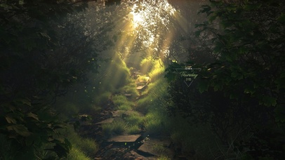 4K 治愈阳光绿林小路