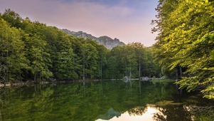 4K治愈池塘