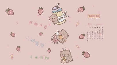 可爱熊熊
