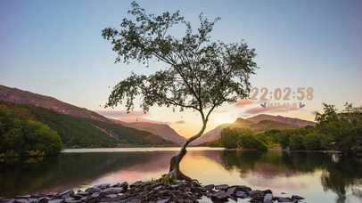 4k唯美治愈夕阳湖中小树