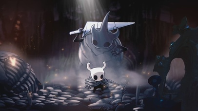 Hollow Knight  