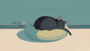 慵懒的猫咪
