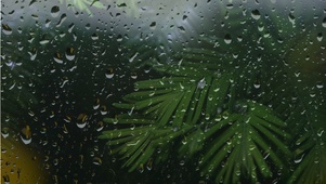 4k高清极简雨滴屏