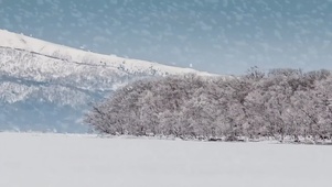 雪花飘飘