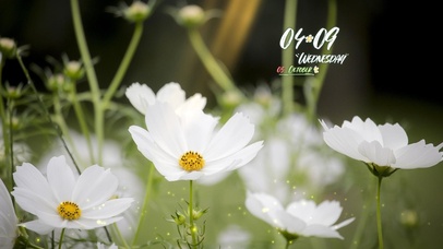 4k高清简约清新系列