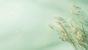 蒲公英动态壁纸