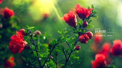 治愈清新绿叶花朵