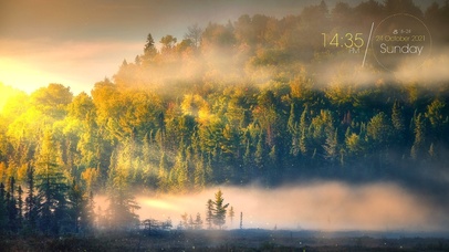 清晨阳光下的森林公园