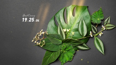 简约系绿植壁纸