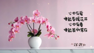 治愈兰花