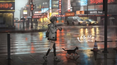 雨天带着猫猫出行