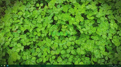 护眼幸运四叶草主题