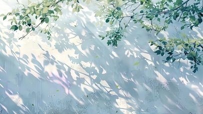 墙角清新绿叶光影