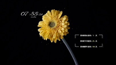 4k高清冷美花系列