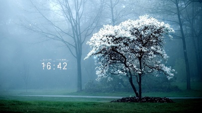 唯美治愈樱花树（带真实时间）