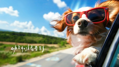 快点和焦虑告别~自由