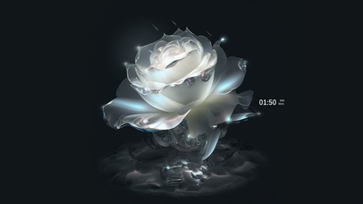 坠落星辰 水晶玫瑰