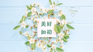 4k清新文字桌面