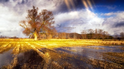 6K 超清风景 【希望的田野】