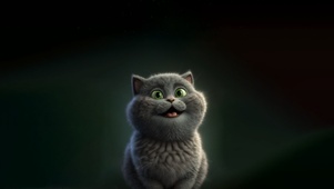 4K 大脸猫