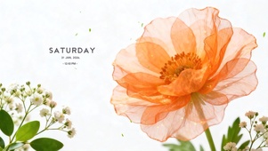 简约小清新绿植桌面