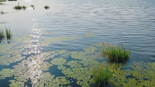 波光粼粼湖面