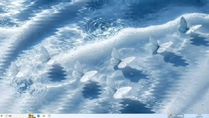 蝴蝶跃水  主题