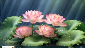暗香浮动荷花池