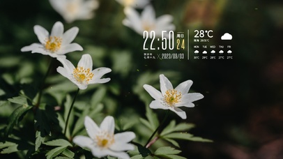 唯美清新花草风景桌面