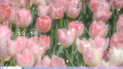 4k春天里的花花