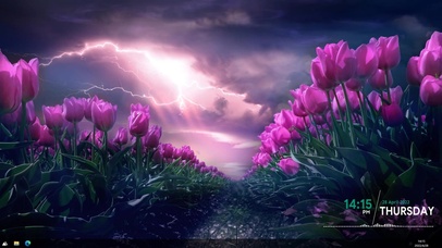 4K-暴雨前的郁金香园