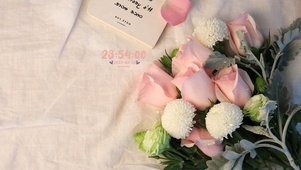 5K 唯美治愈卡片鲜花