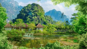 森林风景