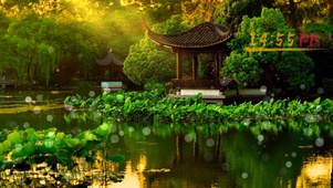 漫游园林