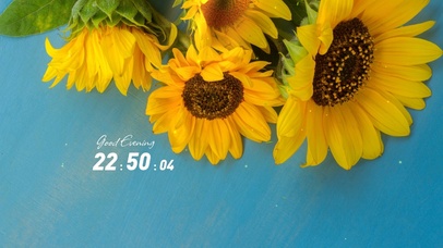 阳光灿烂向日葵