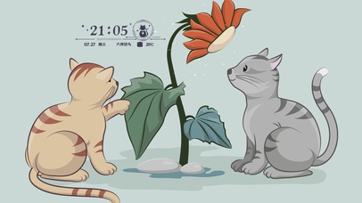 4k高清治愈猫咪