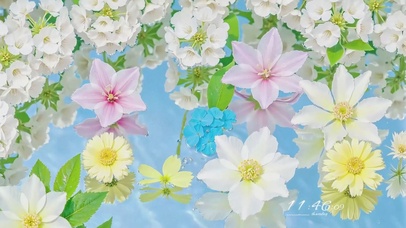 夏日清透水中花壁纸