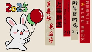 2025所愿皆所成