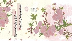 昭昭如愿