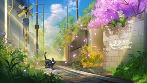 小猫的约会