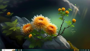 小清新鲜花